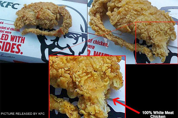 KFC Serves Fried Rat? Though it is not in menu list! KFC-Fried-Rat