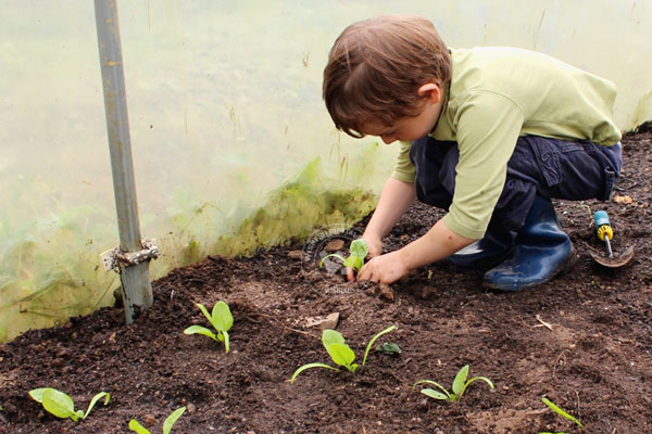 /media/k2/galleries/45920/save-your-money4