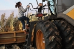 covid-19, farm aid, trump sanctions 19 billion for the aid of farmers hit by pandemic, Relief package