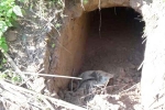 BSF, Tunnel, bsf found 20 meter tunnel from pakistan in sambha j k, Dharmedra pareek