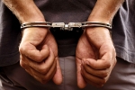 Sandhu, Yadvinder Singh Sandhu, 61 year old indian origin man jailed for 5 years for smuggling foreigners including indians into america, Lawson