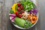 plant based diet, vegan, important factors to know before transitioning to a vegan lifestyle, Vegan