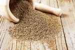 Carom Seeds good or bad, Ajwain breaking news, benefits of adding carom seeds to your diet, Cough
