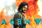 Agent, Akhil Akkineni, a grand pre release event planned for akhil s agent, Mammootty