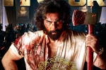 Sandeep Reddy Vanga, Animal Movie collections, animal stands strong on monday despite drop, Animal movie