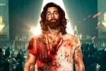 T Series, Animal collections first day, ranbir kapoor s animal opens on a strong note, Animal movie
