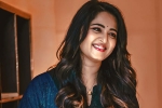 Anushka untitled film, Anushka untitled film, anushka back to shoot, Anushka shetty