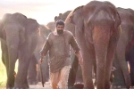 Rana Daggubati Aranya​ movie review, Aranya​ movie review and rating, aranya movie review rating story cast and crew, Vishnu vishal