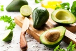 Avocado latest breaking, Avocado tips, add avocado in your diet to lose weight, Delicious meal Avocado latest breaking, Avocado tips, add avocado in your diet to lose weight, Delicious meal
