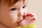 Watery eyes in Babies breaking, Watery eyes in Babies news, real causes does your baby have watery eyes, Conjunctivitis