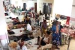 Dengue Outbreak - Tropical reasons, Dengue Outbreak updates, bangladesh dengue outbreak death toll crosses 1000, World health organisation