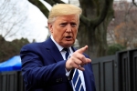 trump, foreign, trump bans hiring of h1b visa holders for federal contracts, H1b visa