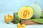 Muskmelon Seeds study, Muskmelon Seeds health tips, health benefits of muskmelon seeds, Muskmelon
