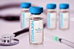 UP government, Bharat Biotech, bharat biotech to begin phase 3 trials of covaxin in up from october, Bharat biotech