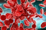 Stem Cells, Blood Cells, scientists generate blood forming stem cells, Pluripotent stem cells