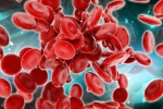 Scientists Generate Blood Forming Stem Cells, Scientists Generate Blood Forming Stem Cells, scientists generate blood forming stem cells, Frog