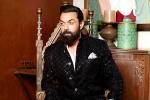 Bobby Deol Vs Alia Bhatt breaking, Bobby Deol Vs Alia Bhatt breaking, bobby deol to lock horns with alia bhatt, Tiger zinda hai