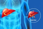 Fatty Liver Disease News body, Fatty Liver Disease News body organs, body organs that can be affected by fatty liver disease, Excessive drinking