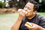 Bread for weightloss tips, Bread for weightloss health benefits, will bread help in weightloss, Reviews