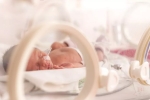 Caffeine for preemies, brain, caffeine therapy can boost brain development in preemies study, Premature babies