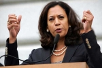 senator, US, u s lawmakers seek information of chinese meddling in elections, 2016 us presidential election