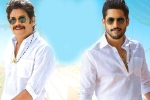 Annapurna Studios, Bangarraju ten days, ten days worldwide collections of bangarraju, Chinni