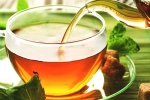 chamomile tea, herbs, is consuming tea linked to immunity, Chamomile tea