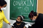 Covaxin impact on teens, Covaxin banned, covaxin infected 50 percent of the teens, Bharat biotech