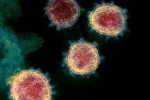 Covid-26, Coronavirus new updates, face covid 26 and covid 32 warns experts, Coronavirus origin