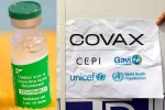 COVAX news, Covishield news, sii to resume covishield supply to covax, Bharat biotech