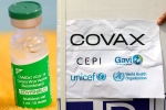 COVAX news, Covishield new updates, sii to resume covishield supply to covax, Bharat biotech