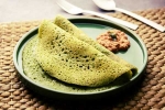 Curry Leaves Dosa new updates, Curry Leaves Dosa recipe, recipe curry leaves dosa, Curry leaves dosa