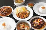 different gravy recipes, south indian curries list, delicious indian curries that every foodie must try, Korma