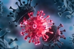 USA Coronavirus new cases, USA Coronavirus rise, delta variant makes usa tensed again, Pfi