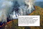 amazon rainforest ecosystem, why is the amazon rainforest important, in pictures devastating fires in amazon rainforest visible from space, Npt