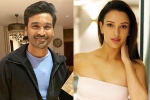 Triptii Dimri, Triptii Dimri new movie, dhanush to romance animal actress triptii dimri, Kartik