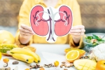 Healthy Kidneys health tips, Healthy Kidneys health tips, food items to include in your diet for healthy kidneys, Snacking