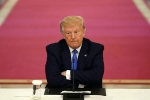 Donald Trump, USA, donald trump impeachment ii the sequel, Impeachment