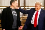 Donald Trump breaking news, Donald Trump, donald trump s praise for musk s starlink, Adity