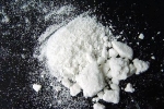 Indian National charged with smuggling heroin into US, India news, indian national charged with smuggling drugs into us, Top news