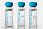 Covaxin, WHO experts on EUL for Covaxin, who delays the eul decision on covaxin, World health organisation