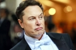 Elon Musk India visit updates, India, elon musk s india visit delayed, Tea