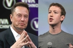 Mark Zuckerberg, Elon Musk Vs Mark Zuckerberg breaking news, elon musk vs mark zuckerberg rivalry, Walrus