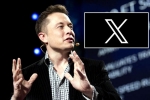 X subscription users, X subscription updates, elon musk announces that x would be paid for everyone, Social networking