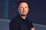 Elon Musk latest, Elon Musk latest, elon musk talks about cage fight again, Domino s