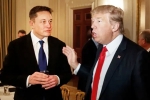Donald Trump's Campaign news, Elon Musk in USA, elon musk donates for donald trump s campaign, Behind the scenes