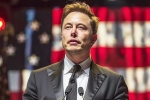 Musk reply on social media, Elon Musk DOnald Trump - Matrix, is elon musk in the trump cabinet, Mindset