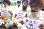 agents, agents, why farmers and politicians are against modi s farm laws, Modi government
