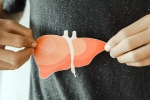 Fatty Liver treatment, Fatty Liver, fatty liver an alarming rise among children, Break up