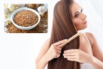 Flaxseeds latest, Flaxseeds hair benefits, how flaxseeds can help for a long and healthy hair, Hair growth